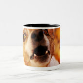 Bellender und springender Jack-Russell-Terrier, Zweifarbige Tasse (Mittel)