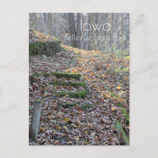 Bellevue Staat Park Postkarte (Vorderseite)