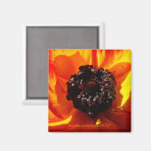 Bellezza nelle ombre magnet (Vorderseite/Rückseite)