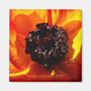 bellezza nelle ombre magnet