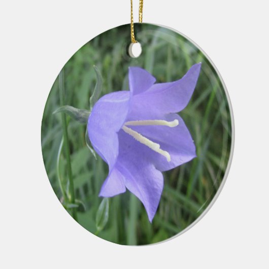 Bellflower Keramik Ornament (Links)