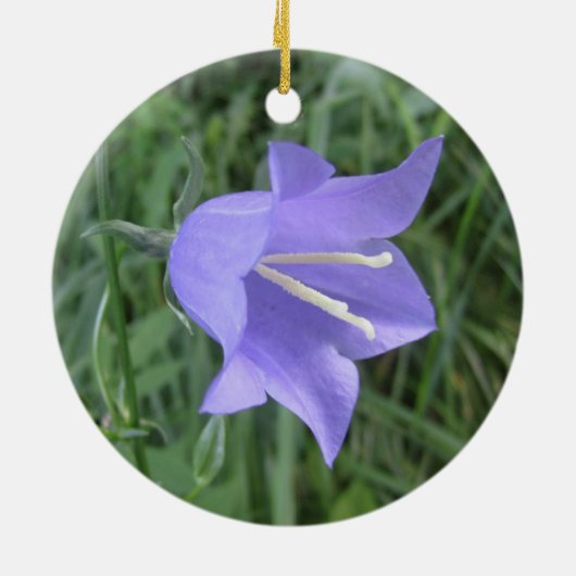 Bellflower Keramik Ornament (Hinten)