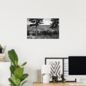 Bellingham, WA Town View von Sehome Hill Poster (Heimbüro)