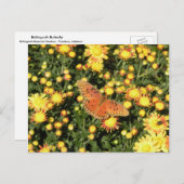 Bellingrath Butterfly Postkarte (Vorne/Hinten)