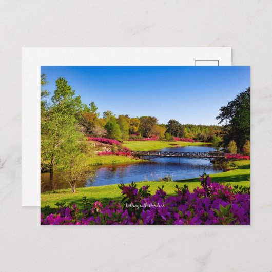 Bellingrath Gardens, Alabama, Postkarte (Vorne/Hinten)