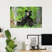 Belly Up Momma Bear und Twin Cubs Poster (Heimbüro)
