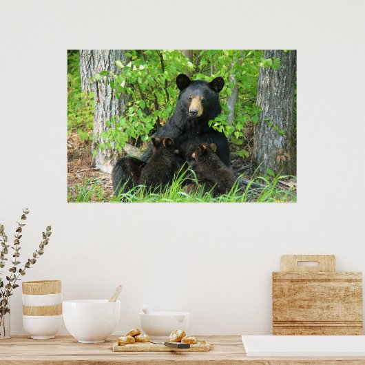 Belly Up Momma Bear und Twin Cubs Poster (Küche)