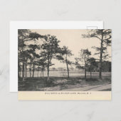 Belmar NJ, Silver Lake, 1909 Vintag Style Postkarte (Vorne/Hinten)