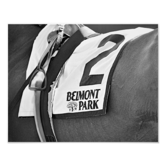 Belmont Park Seit 1905 Fotodruck (Vorne)