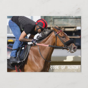 Belmont Park Training Track (1) Postkarte