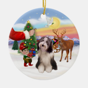 Belohnung für einen Bearded Collie (#4) Keramikornament