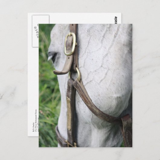 Bels Starlet Post Card Postkarte (Vorne/Hinten)