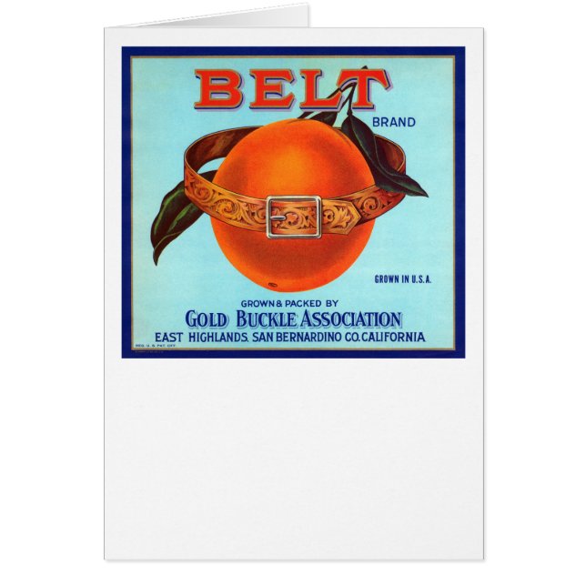 Belt Brand California Orange (Vorne)