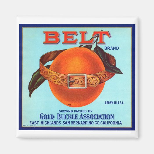 Belt Brand California Orange Magnet (Vorne)