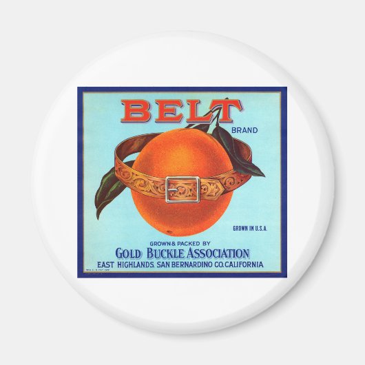 Belt Brand California Orange Magnet (Vorne)