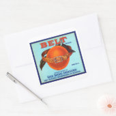 Belt Brand California Orange Quadratischer Aufkleber (Umschlag)