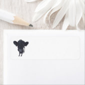 BELTED GALLOWAY (Insitu)