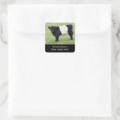 Belted Galloway Calf "Dieses Buch gehört..." Sq Quadratischer Aufkleber (Tasche)