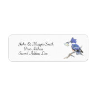 Belted Kingfisher - Bird, Natureinschrift