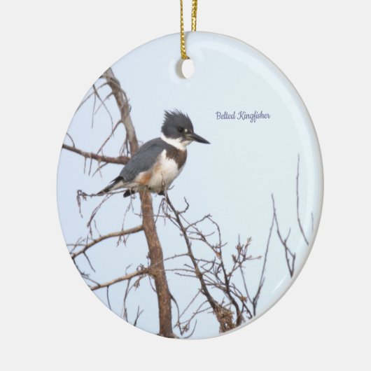 Belted Kingfisher Bird Ornament (Links)