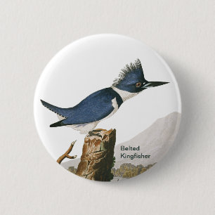 Belted Kingfisher by John James Audubon, Bird Button