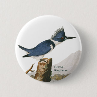 Belted Kingfisher by John James Audubon, Bird Button