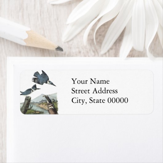 Belted Kingfisher, John Audubon (Insitu)