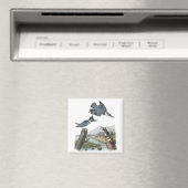 Belted Kingfisher, John Audubon Magnet (In Situ (Geschirrspüler))