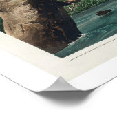 Belted Kingfisher von Audubon Poster (Ecke)