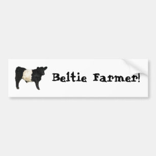 Beltie Bauer Gorgeous Galloway Kuh Steppe Autoaufkleber