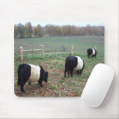 Beltie Cow Herd Auf dem Weg Mousepad (Mit Mouse)
