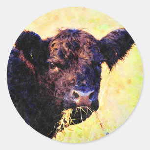 Beltie-Kuh-Aquarellmalerei Belted Galloway-Kunst Runder Aufkleber