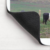 Beltie Kuh-Herde im Fall Mousepad (Ecke)
