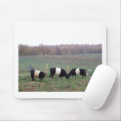 Beltie Kuh-Herde im Fall Mousepad (Mit Mouse)