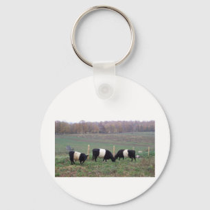 Beltie Kuh Herde im Herbst Schlüsselanhänger