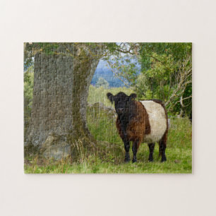 Beltie Puzzlespiel Puzzle