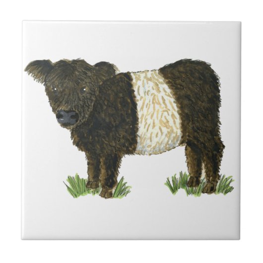 "Beltie" umgeschnallter Galloway Fliese (Vorderseite)