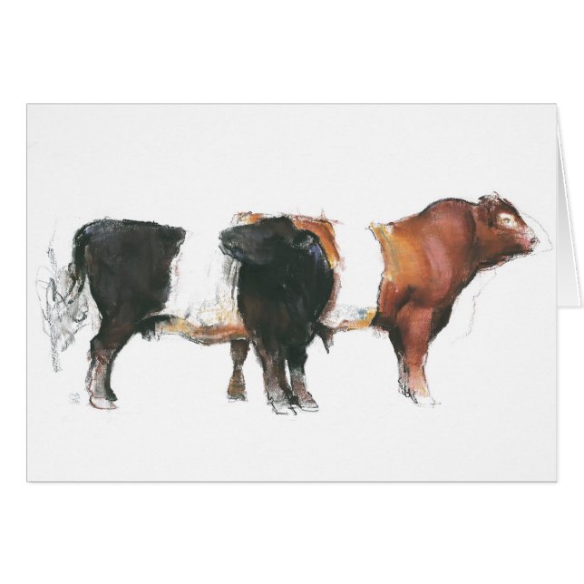 Belties 2006 (Vorderseite (Horizontal))
