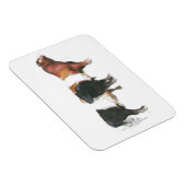 Belties 2006 magnet (Rechte Seite)