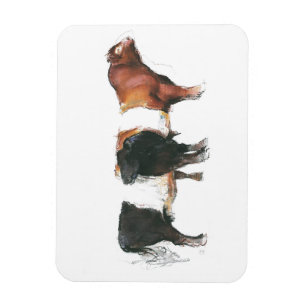 Belties 2006 magnet