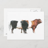 Belties 2006 postkarte (Vorne/Hinten)