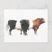 Belties 2006 postkarte (Vorderseite)