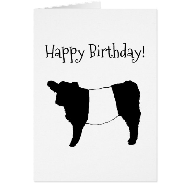 Belties - Happy Birthday Belted Galloway Kuh (Vorne)