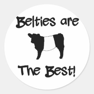 Belties sind die schönste Belted Galloway Kuh Runder Aufkleber