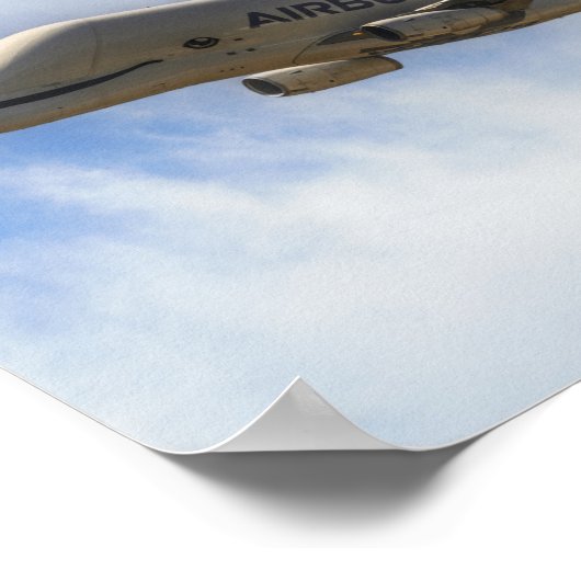 Beluga Poster (Ecke)