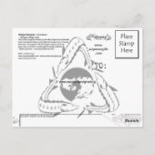 Beluga Sturgeon Postcard Postkarte (Rückseite)