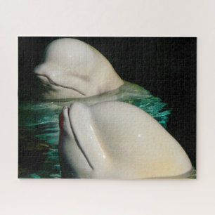 Beluga-Wal Alaska Puzzle