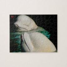 Beluga Whale Alaska
