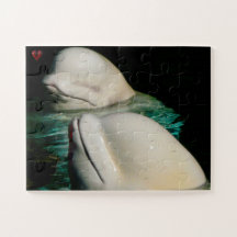 Beluga Whale Alaska