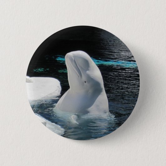 Beluga Whale Button (Vorderseite)